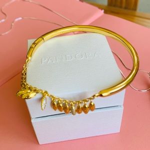 Pandora bracelet